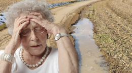 Strade in Canavese, tra promesse e degrado: "Nessuno muove un dito"