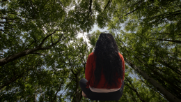 Foreste certificate: Ala di Stura, Balme e Cantoira conquistano il PEFC
