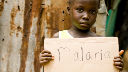 Misteriosa malattia in Congo? No, è malaria grave aggravata dalla malnutrizione 