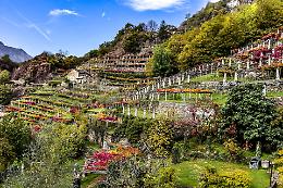 Vigneti eroici della Dora Baltea: patrimonio nazionale del paesaggio rurale