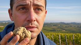 Addio al Tartufo bianco?  Il pregiato oro bianco del Piemonte è in pericolo!