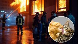 Incendio in un appartamento, morti due gatti