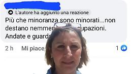 "Più che minoranza sono minorati...": bufera social sul like di troppo dell'assessore di Forza Italia