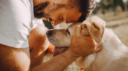 "Ritrovato il tuo cane? Paga o te lo scordi!" La truffa che spezza cuori e svuota portafogli