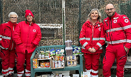 Gattile di Ivrea: nove mici adottati e un concorso per regalare speranza a tanti altri
