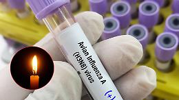 Il primo caso di influenza aviaria umana scuote il mondo: c'è il morto!
