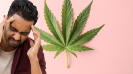 Cannabis terapeutica: in Piemonte la cura resta un miraggio
