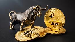 Master Bitcoin al Politecnico di Torino: formazione avanzata per il futuro delle criptovalute
