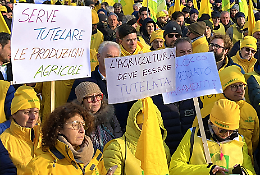 Agricoltori in piazza: trattori e campanacci contro la crisi climatica e assicurativa