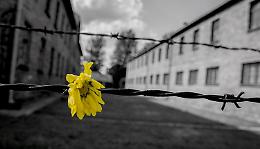 La memoria della Shoah vive a Venaria Reale