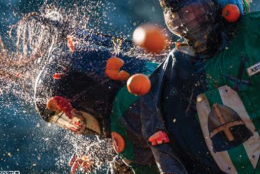 “La città degli Aranceri”: il Carnevale di Ivrea diventa un libro muto, ma parla al mondo