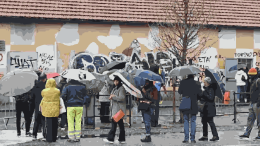 In fila all’alba per la sua studentessa: il gesto di una prof contro la burocrazia che nega il futuro