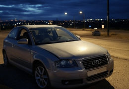 Panico sulla Provinciale 460: Audi A3 si schianta e il conducente sparisce nel nulla