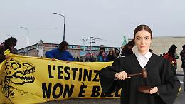 Il TAR annulla i fogli di via per gli attivisti di Extinction Rebellion: "Proteste legittime e garantite dalla Costituzione"