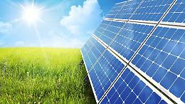 Il fotovoltaico a servizio della natura: il WWF svela i benefici per l’ambiente