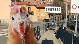 Aviaria a Chivasso: ecco i Comuni in allerta e le regole da seguire. Controlli ai mercati