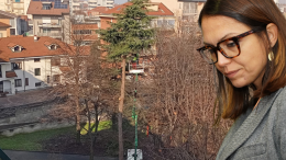 Sindaco "motosega" adesso taglia gli alberi sani: "Dannava l’amico giusto"?