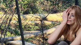 Strage di alberi alla Clinica Eporediese: abbattuti più di 20 platani senza preavviso