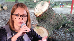 Strage di alberi. Sindaca "vergogna"