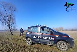 Rubano i terreni dello Stato e ci coltivano per anni: tre agricoltori denunciati