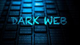 Banconote e documenti falsi, droga e farmaci illeciti: avveniva tutto nel Dark Web e su Telegram
