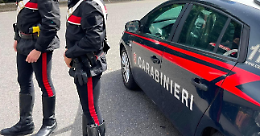 Rissa in corso Cavour: urla, spintoni e cani usati come armi