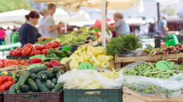 Nuove idee per il rilancio del territorio: mercato, viabilità e comunità in primo piano