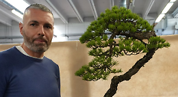 Caselle fa fiorire il bonsai: Paolo Grande terzo a Modena