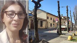 Iniziati i lavori in Corso Nazioni Unite. La lettera aperta della professoressa che critica l’abbattimento degli alberi 