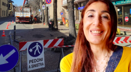 La corsa contro il tempo per salvare gli alberi di Corso Nazioni Unite: "Venite a firmare"