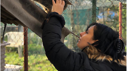 Micio Villaggio ODV: dove ogni gatto trova amore, cure e una seconda possibilità