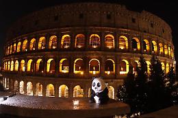 Earth Hour 2025: il mondo si spegne per accendere la consapevolezza climatica