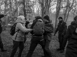 Difendere un parco è un crimine: Torino processa chi protegge il Meisino