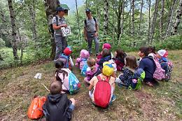 Guardie Ecologiche Volontarie: un esercito di cittadini in difesa del territorio