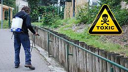 ISDE, Legambiente e Pro Natura: no all'uso del glifosato per il diserbo in città