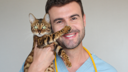 Un aiuto a chi ama e non può curare i propri cani e gatti. Anche a Settimo Torinese