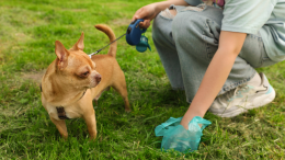 Gassino, stop agli incivili: controlli serrati e obbligo di bottiglietta contro le deiezioni canine