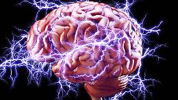 Marciume cerebrale digitale: generazioni perdute nello scrolling infinito