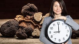 Piemonte, corsa contro il tempo per salvare il tartufo