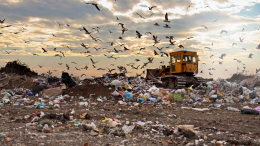 Discariche: dal Canavese a Chivasso, l'eterno disastro di rifiuti in tutta Italia