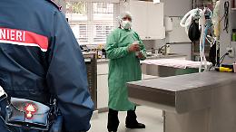 Furto in uno studio veterinario a Torino: arrestati due uomini