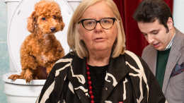 Cacche da laboratorio: in consiglio comunale si parla di DNA canino. L’opposizione spinge, Colosso frena
