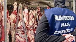 Assalto in carcere, detenuto aggredisce 4 agenti: “Macelleria italiana”