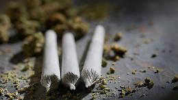 Piantagione di droga alimentata a furto: scoperto laboratorio indoor nel Pinerolese
