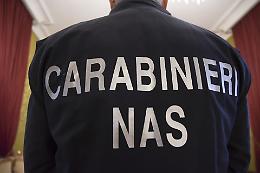 Lavoro nero, alimenti scaduti e sporcizia: i carabinieri chiudono un negozio