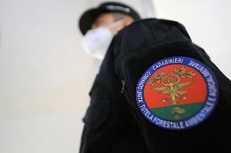 Amianto e rottami, scoperta una maxi discarica in un terreno