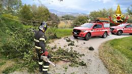Vento impazzito in Canavese: albero crolla sulla strada a Chivasso