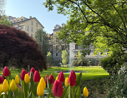 Palazzo Cisterna, il giardino ritrovato tra arte e memoria