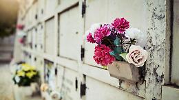 Furti di fiori al cimitero, la comunità insorge contro i vandali senza rispetto