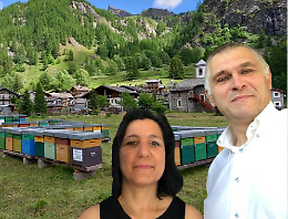 Da Oleggio al Canavese, inseguendo le api: la nuova vita di Marco e Giovanna